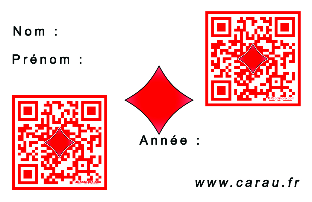 Carte verso code QR personnalisé